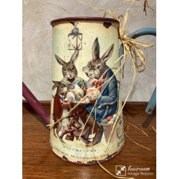 Rustik Çiçek Bahçesi: Galvaniz Dekoratif Suluk