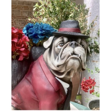 Buldog Saksılı Köpek