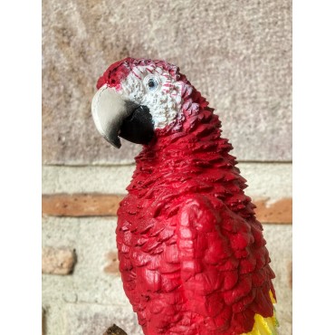 Papağan Macaw
