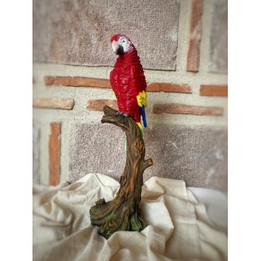 Papağan Macaw