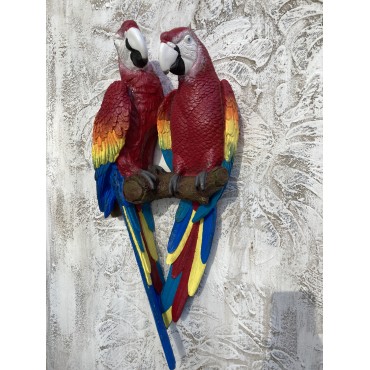 Papağan İkili Macaw