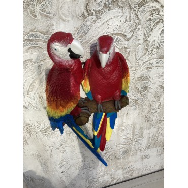 Papağan İkili Macaw