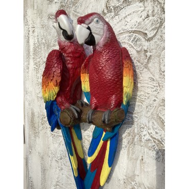 Papağan İkili Macaw