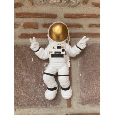 Astronot Duvar Biblo,Uzay