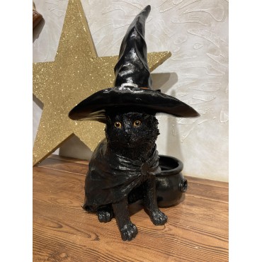 Sihirbaz Kedi , Blackcat