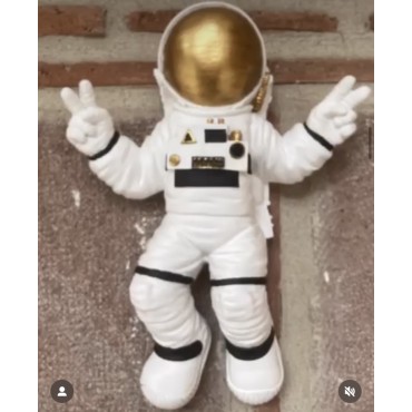 Astronot Duvar Biblo