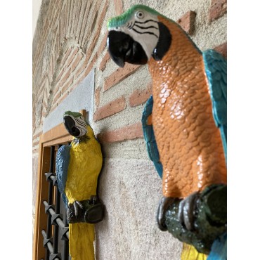 Papağanı Macaw Duvar