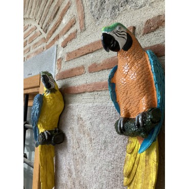 Papağanı Macaw Duvar
